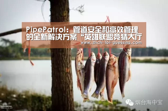 PipePatrol：管道安全和高效管理的全新解决方案“英雄联盟竞猜大厅 ”