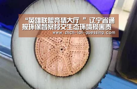 “英雄联盟竞猜大厅 ”辽宁省通报环保督察移交生态环境损害责任追究问题问责情况